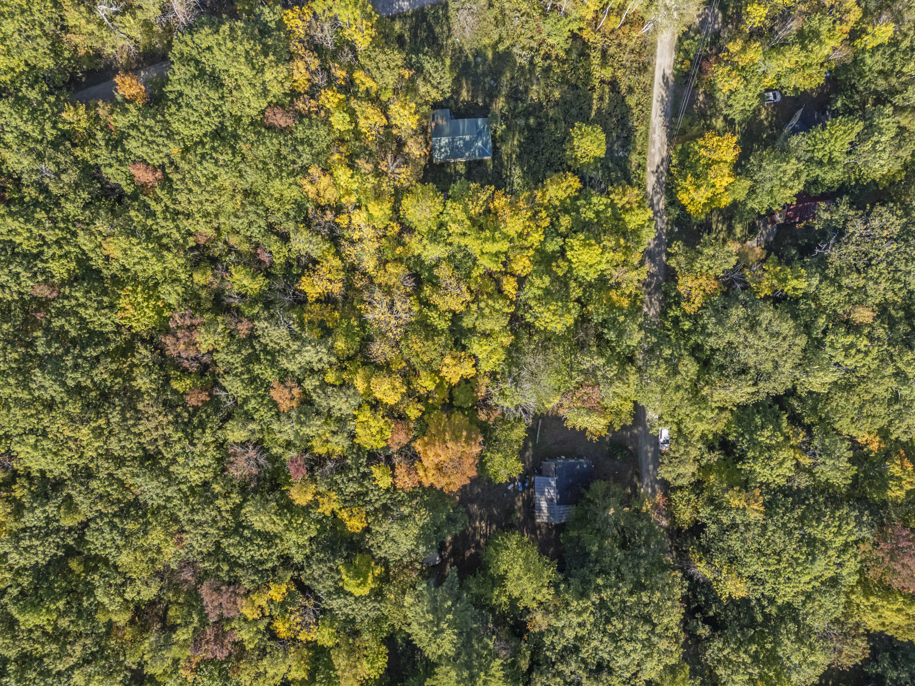 Lot #58 South Vigue Shore Road Albion ME 04910