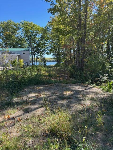 Lot #58 South Vigue Shore Road Albion ME 04910