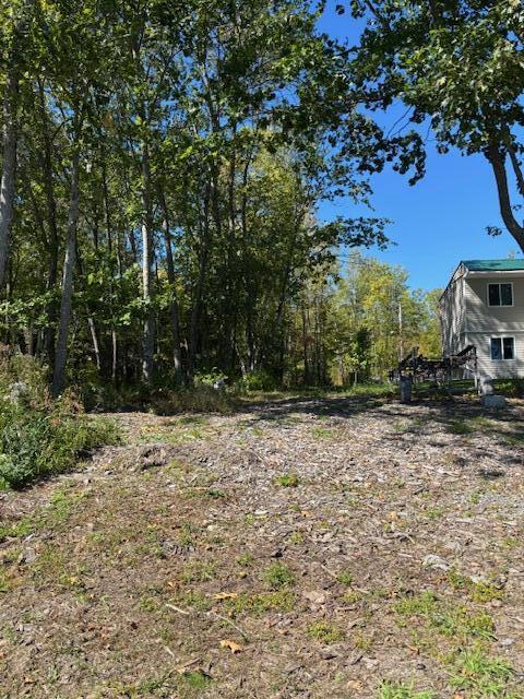 Lot #58 South Vigue Shore Road Albion ME 04910