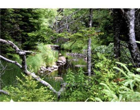 Map 3 - 30 Marshfield Flats Road Marshfield ME 04654