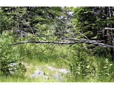 Map 3 - 30 Marshfield Flats Road Marshfield ME 04654