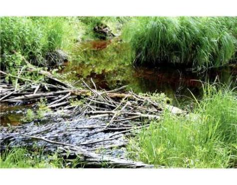 Map 3 - 30 Marshfield Flats Road Marshfield ME 04654