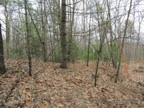 480 Ossipee Hill Road Waterboro ME 04087