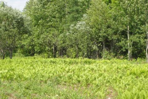 0 Us-202 Winthrop ME 04364