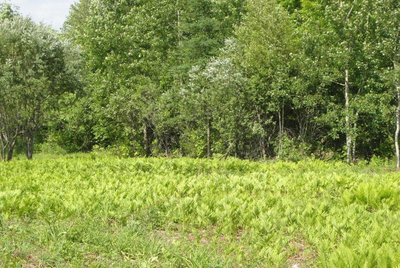 0 Us-202 Winthrop ME 04364