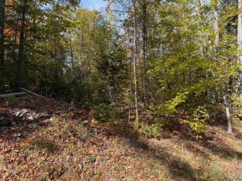 M2, L48b S Reynolds Road Winslow ME 04901