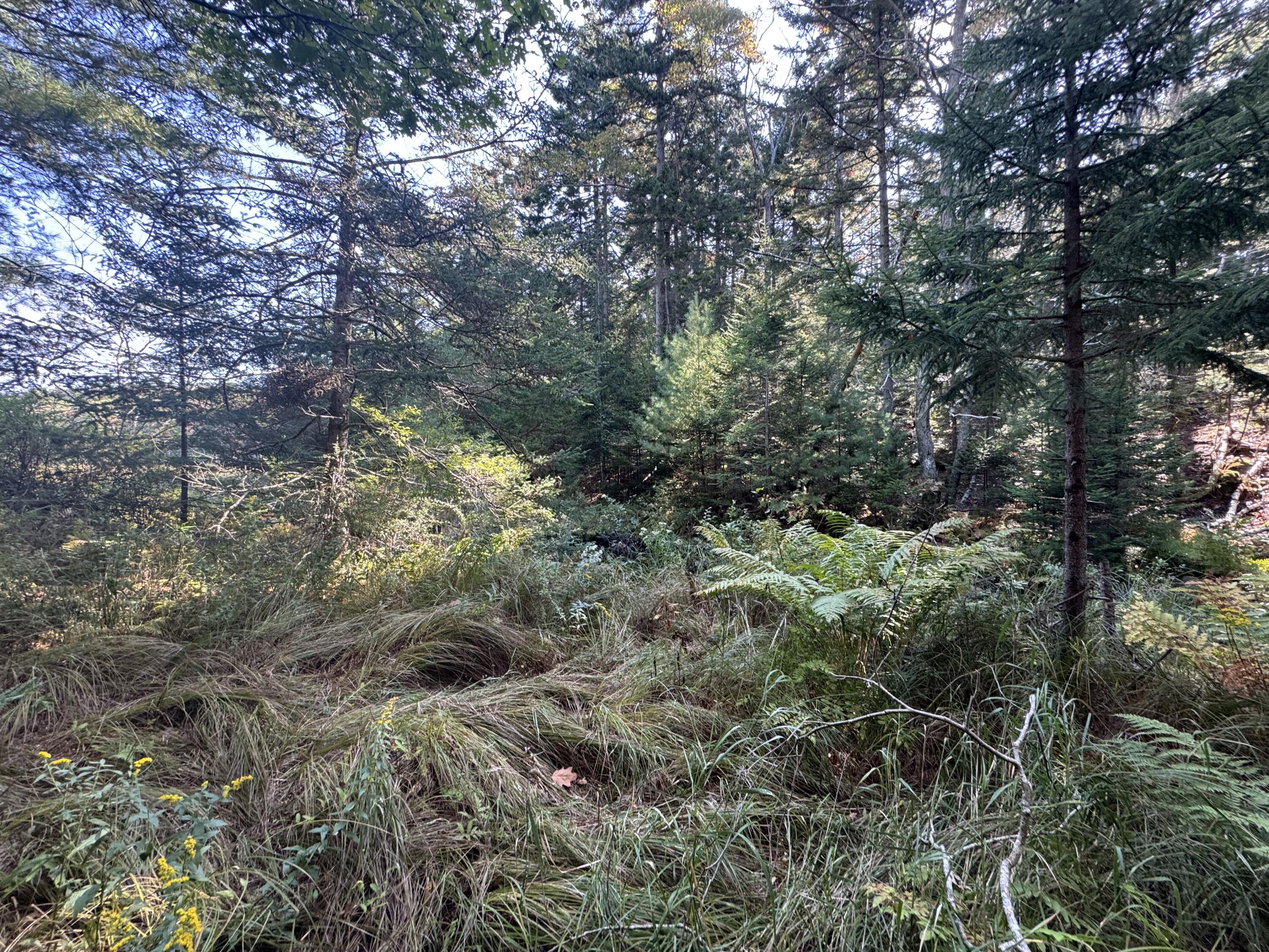 0 Main Road Phippsburg ME 04565