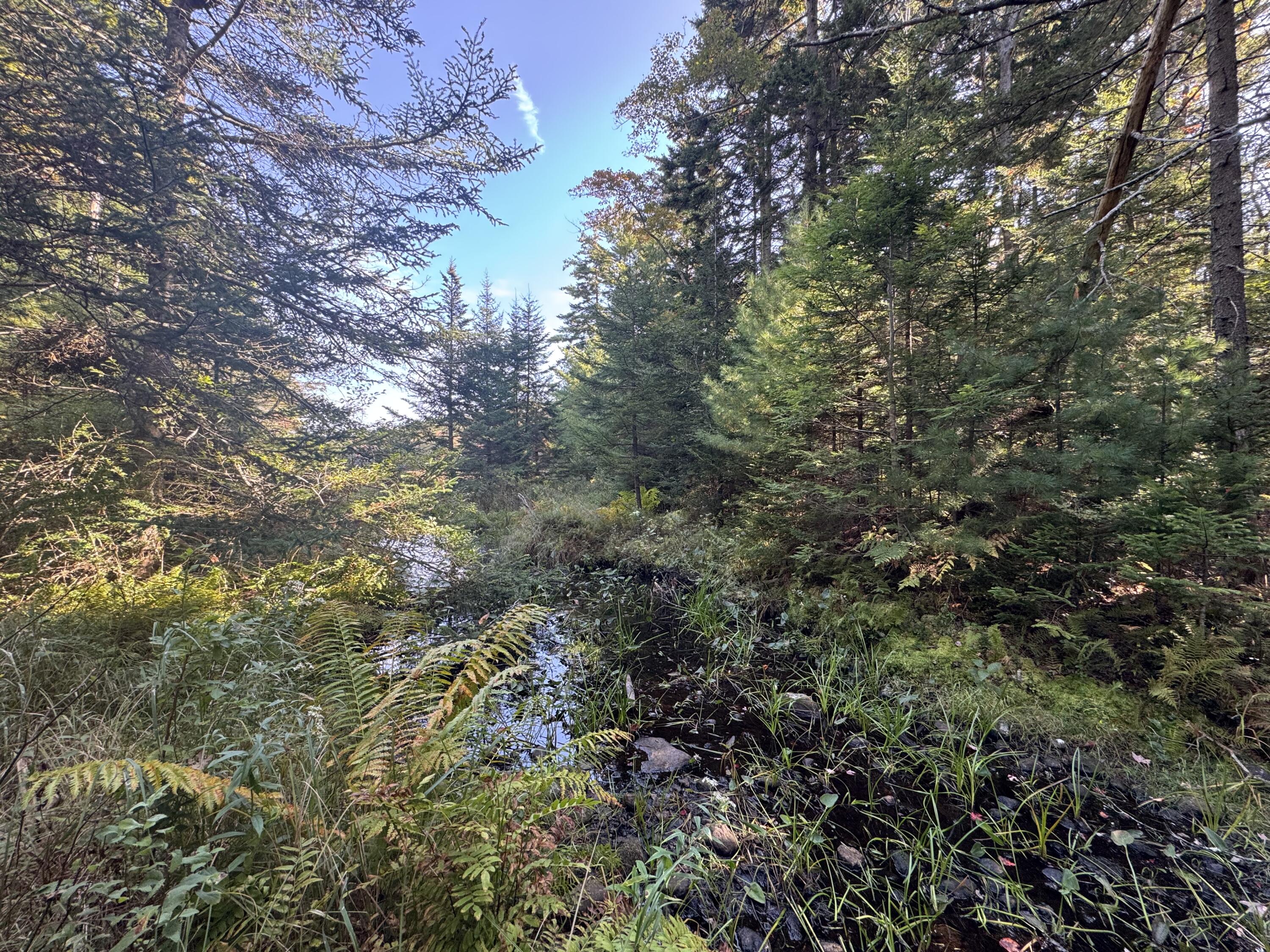 0 Main Road Phippsburg ME 04565