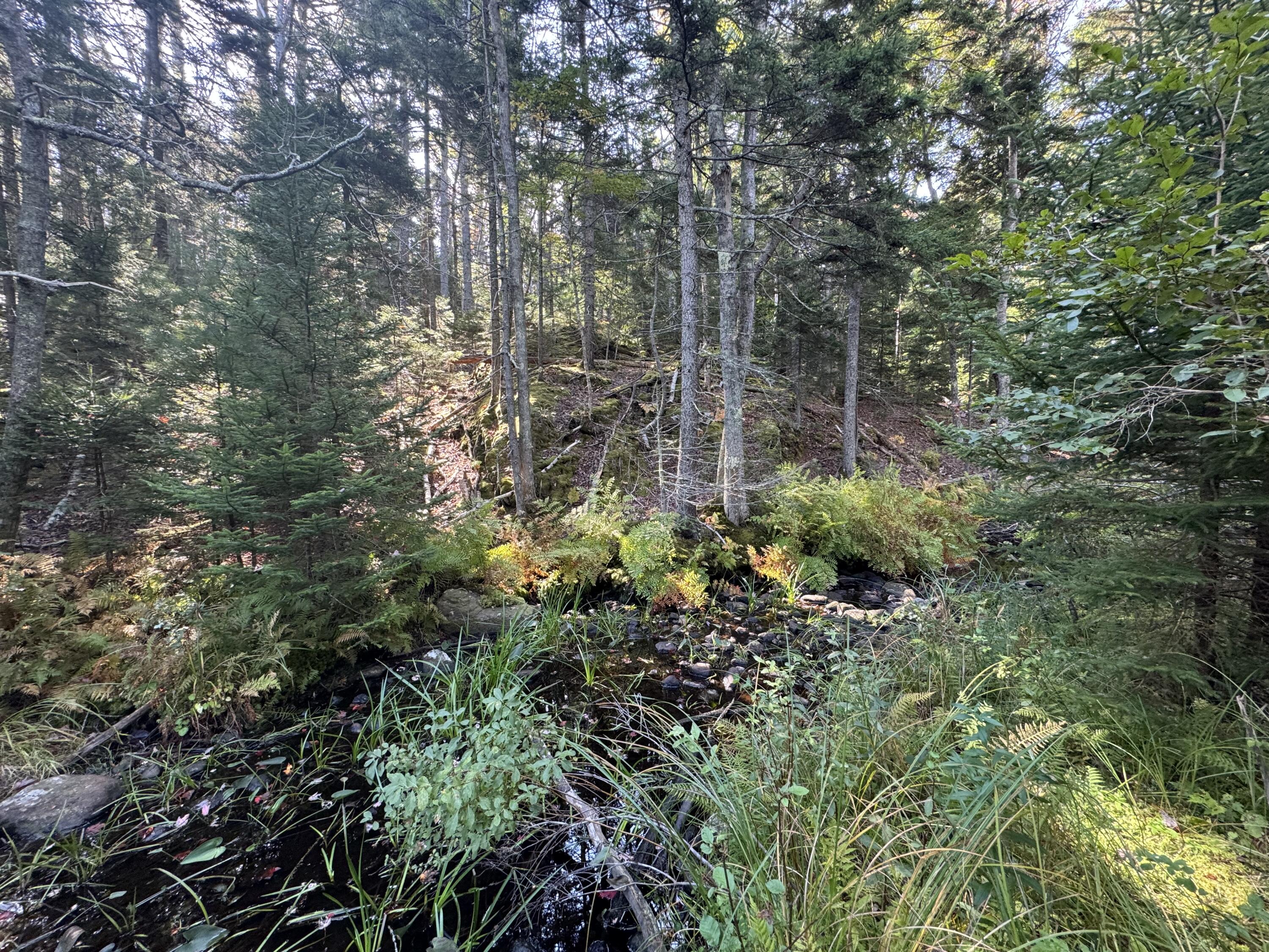 0 Main Road Phippsburg ME 04565