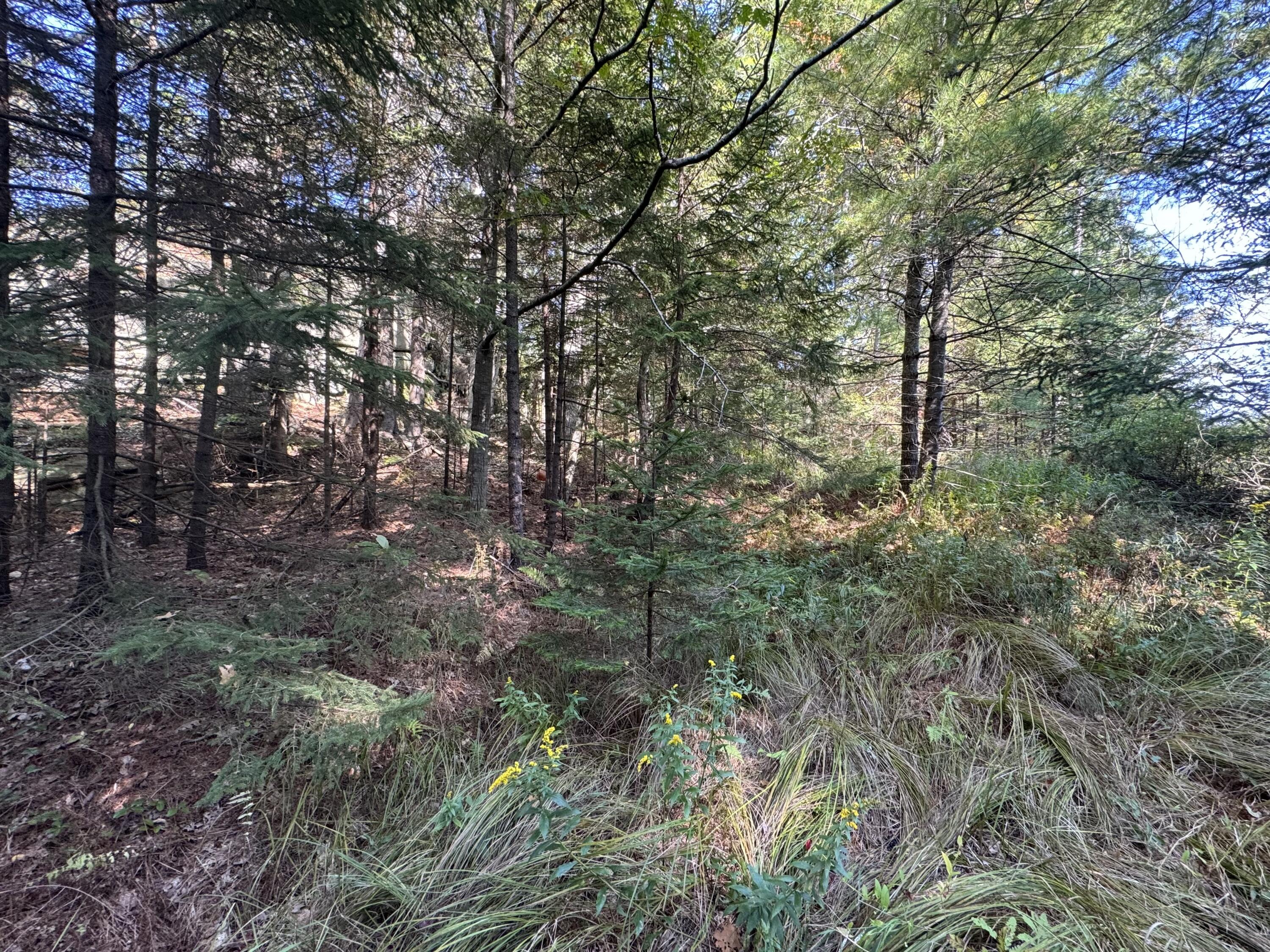 0 Main Road Phippsburg ME 04565