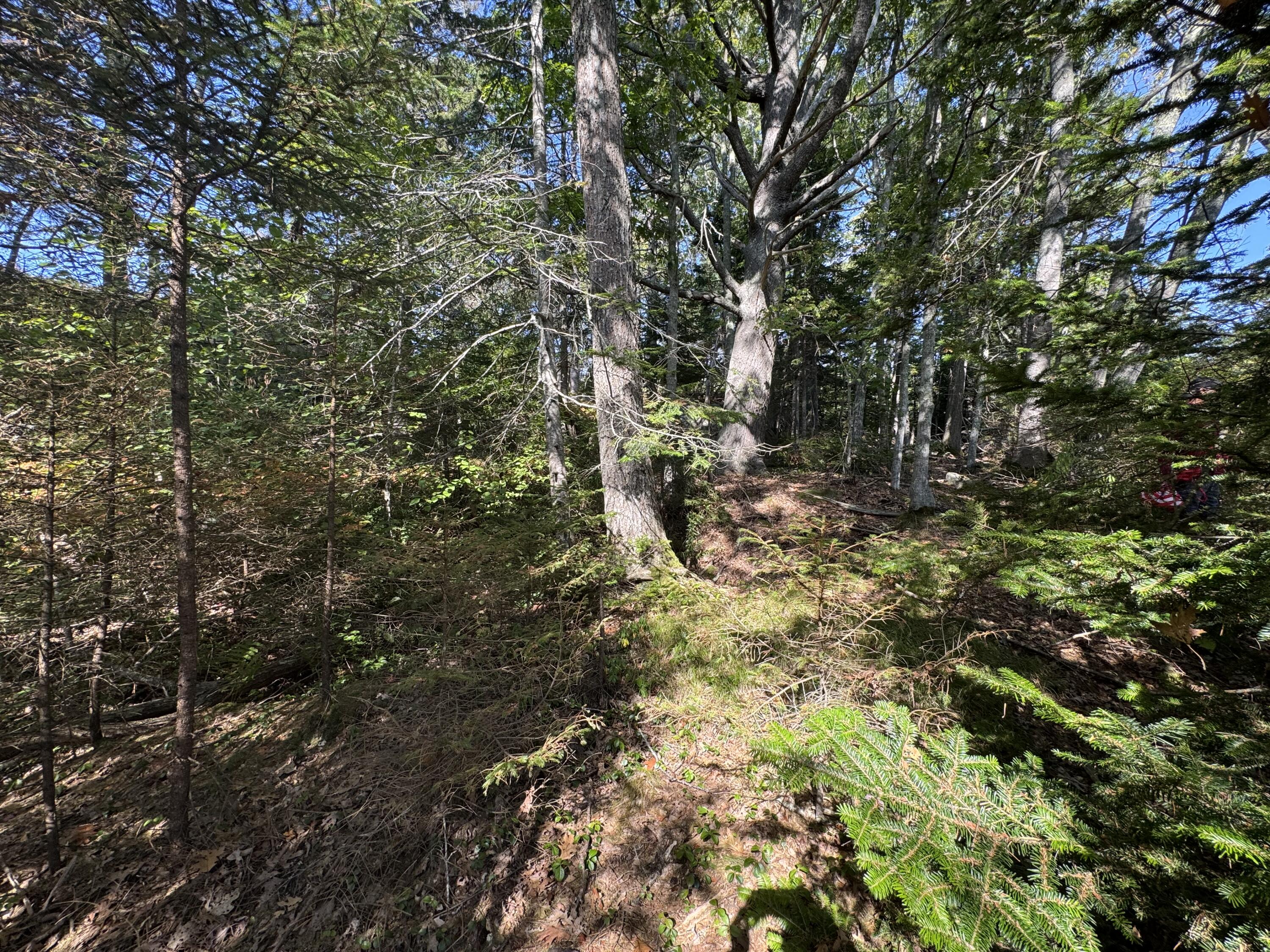 0 Main Road Phippsburg ME 04565