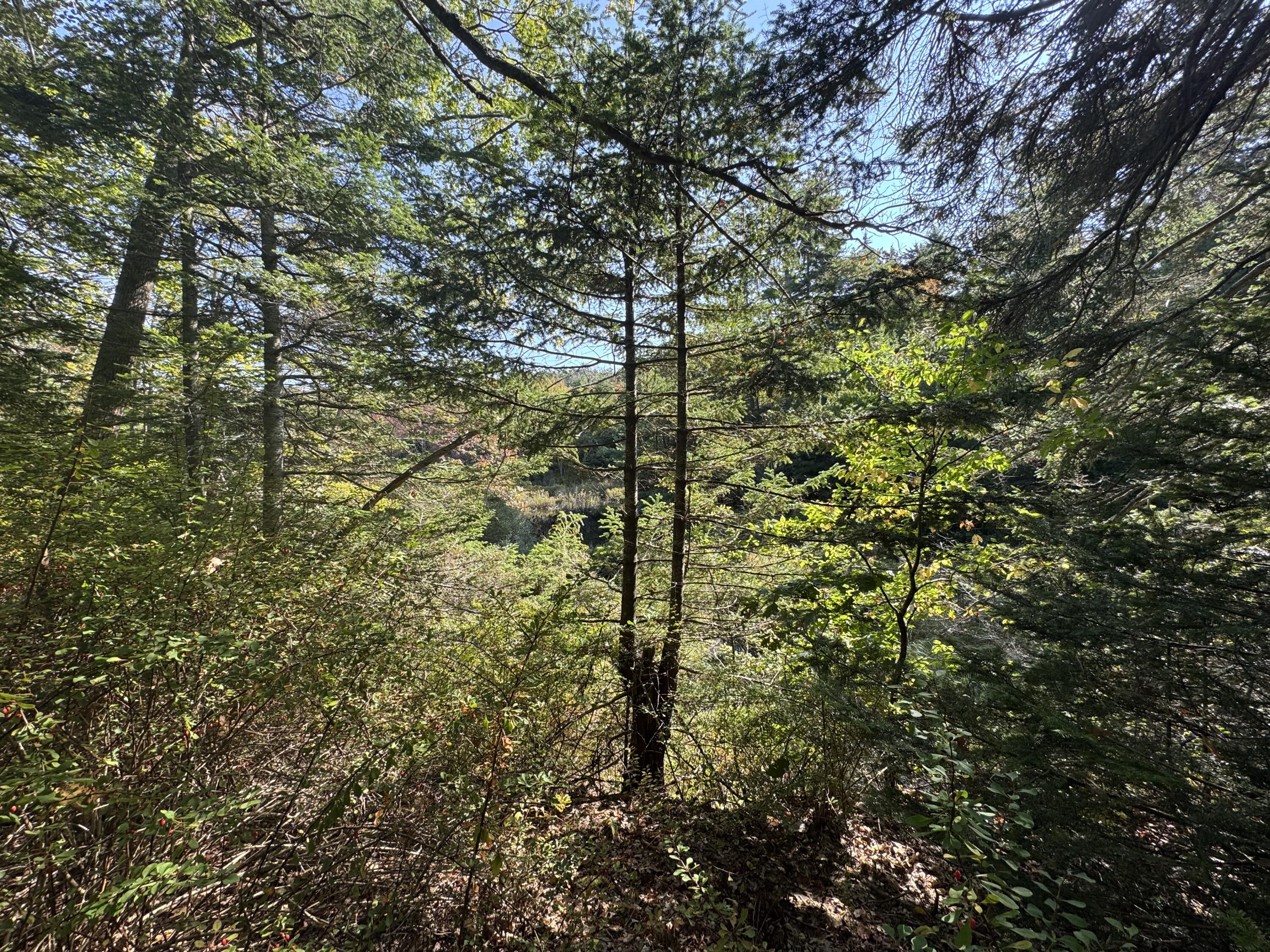 0 Main Road Phippsburg ME 04565