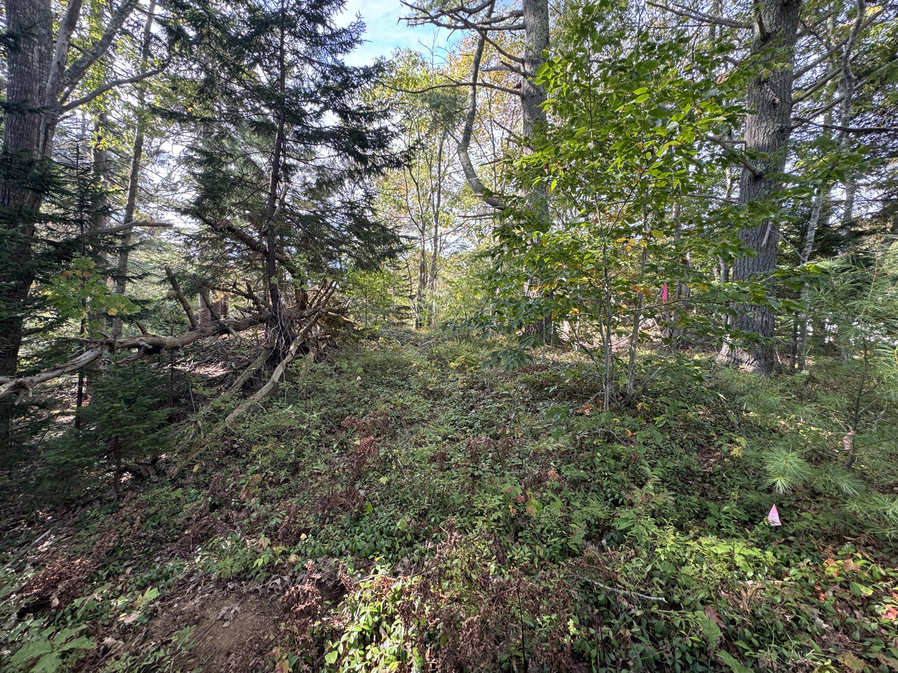 0 Main Road Phippsburg ME 04565