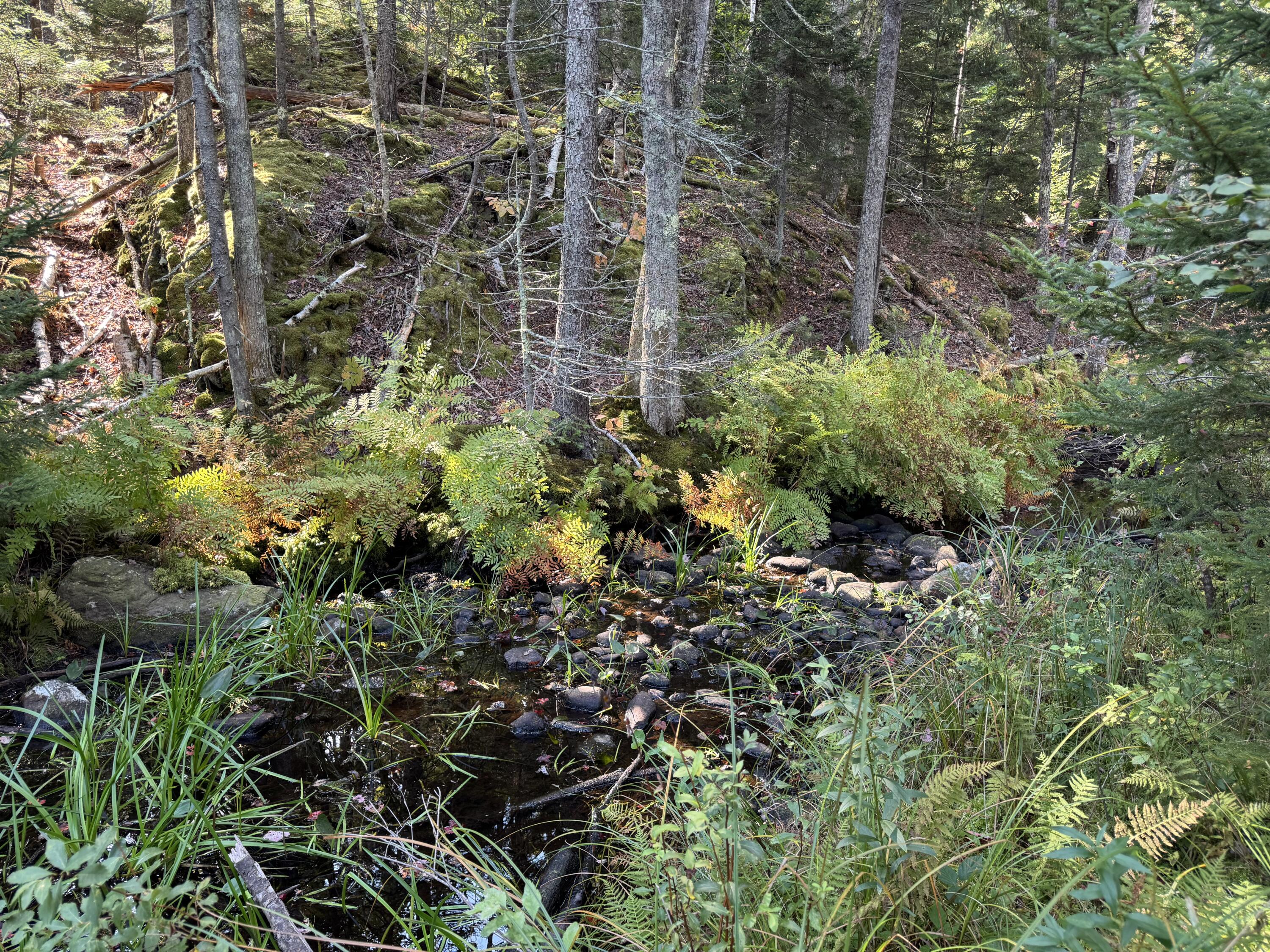 0 Main Road Phippsburg ME 04565