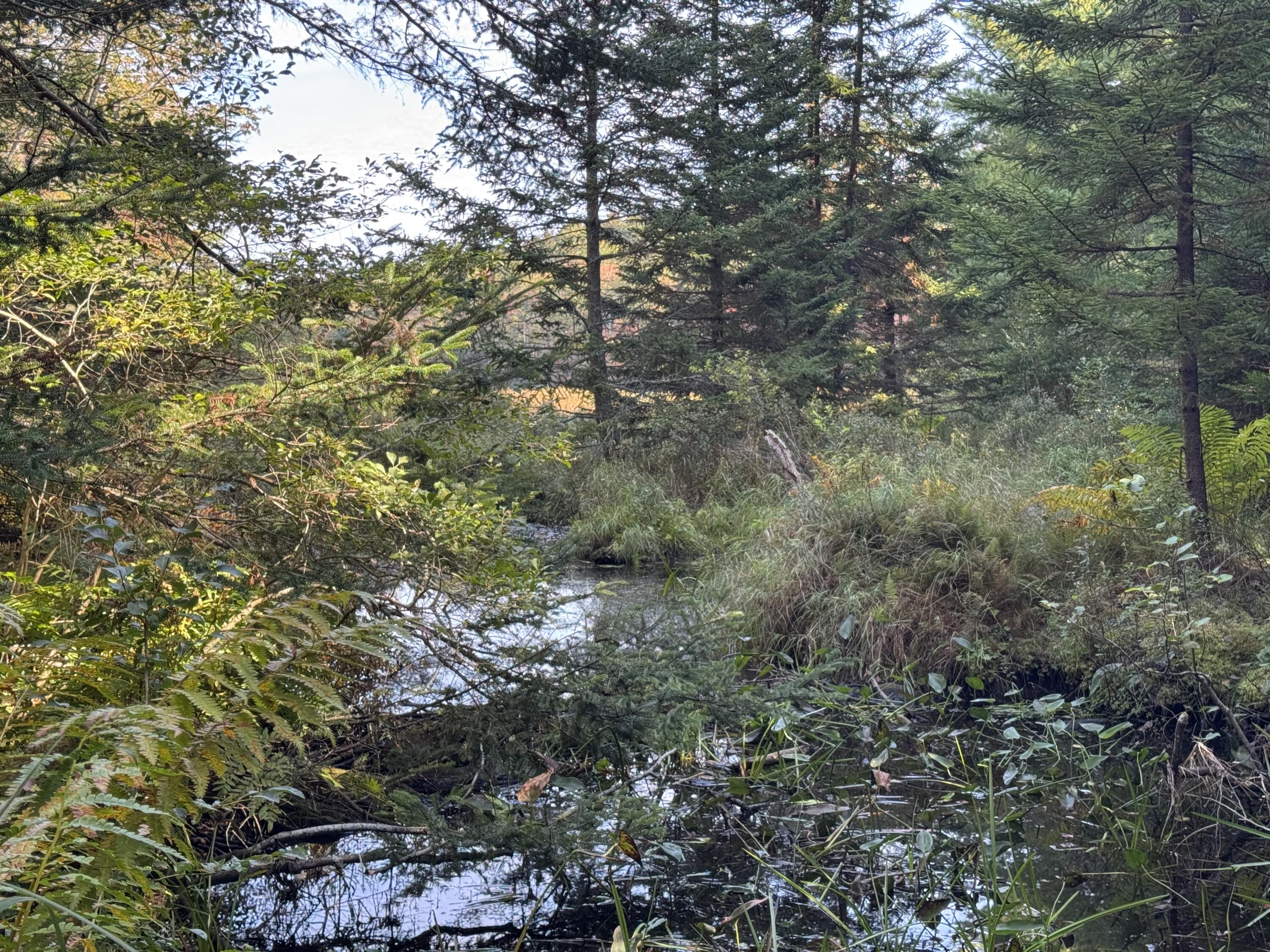 0 Main Road Phippsburg ME 04565