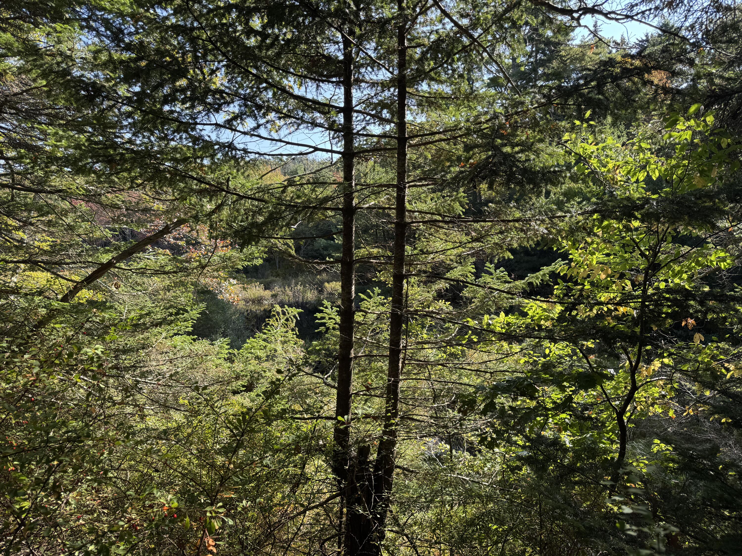 0 Main Road Phippsburg ME 04565