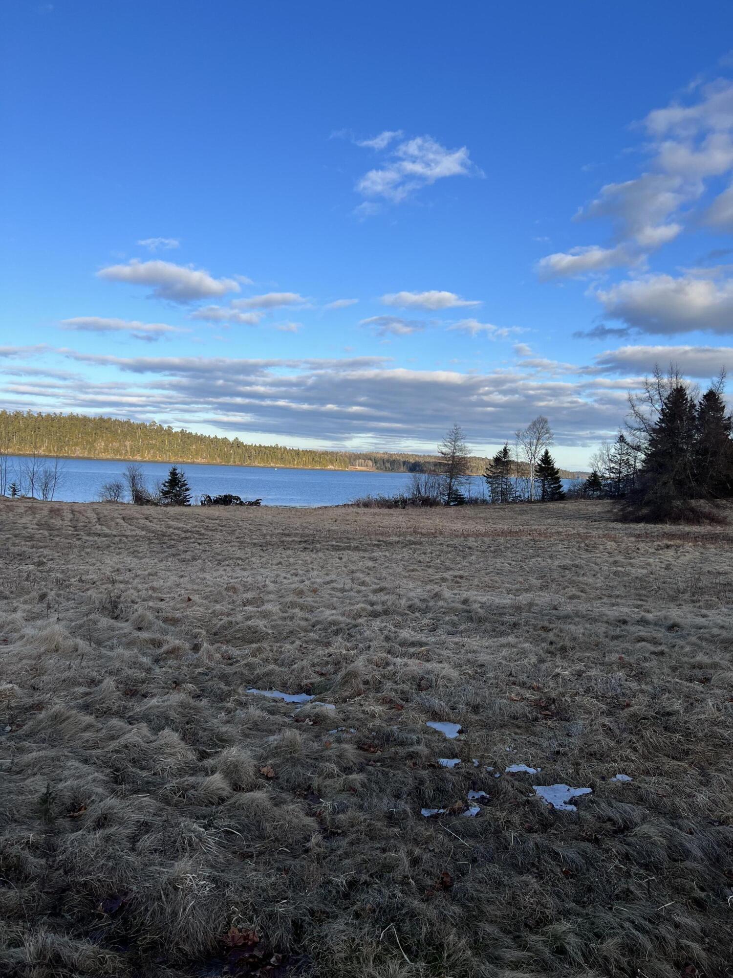 Lot # 35 Leighton Point Road Pembroke ME 04666