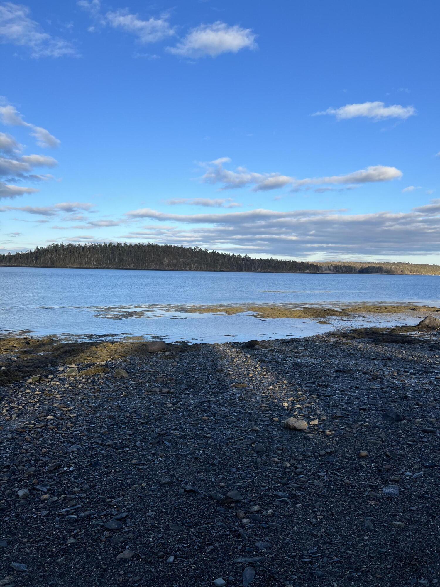 Lot # 35 Leighton Point Road Pembroke ME 04666