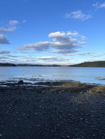 Lot # 35 Leighton Point Road Pembroke ME 04666