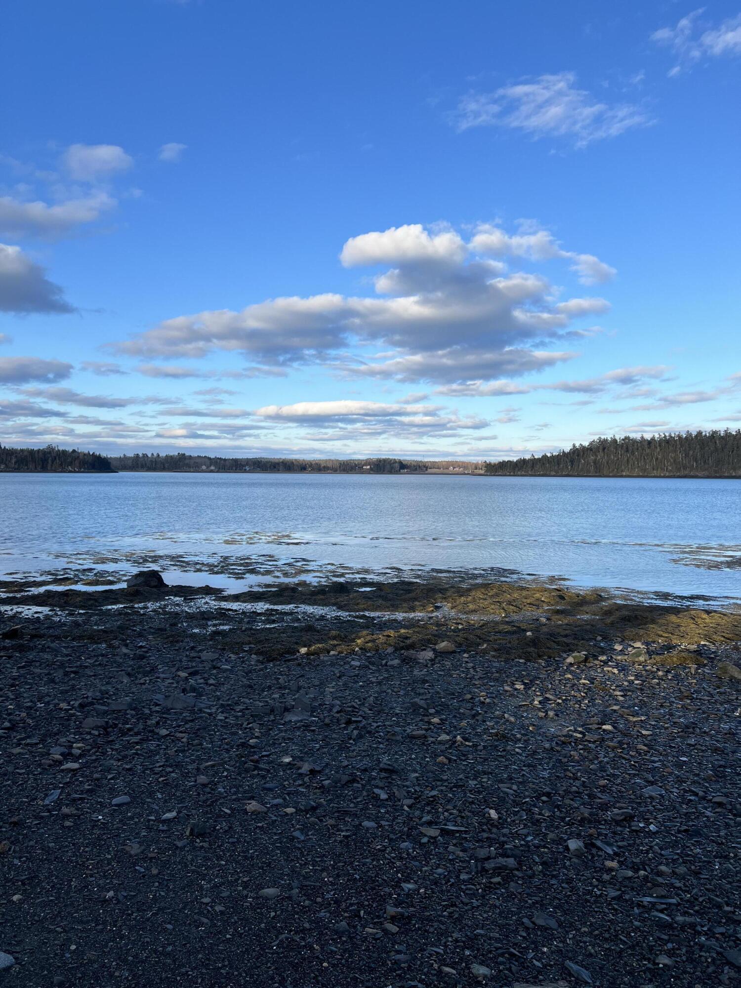 Lot # 35 Leighton Point Road Pembroke ME 04666