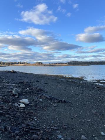 Lot # 35 Leighton Point Road Pembroke ME 04666