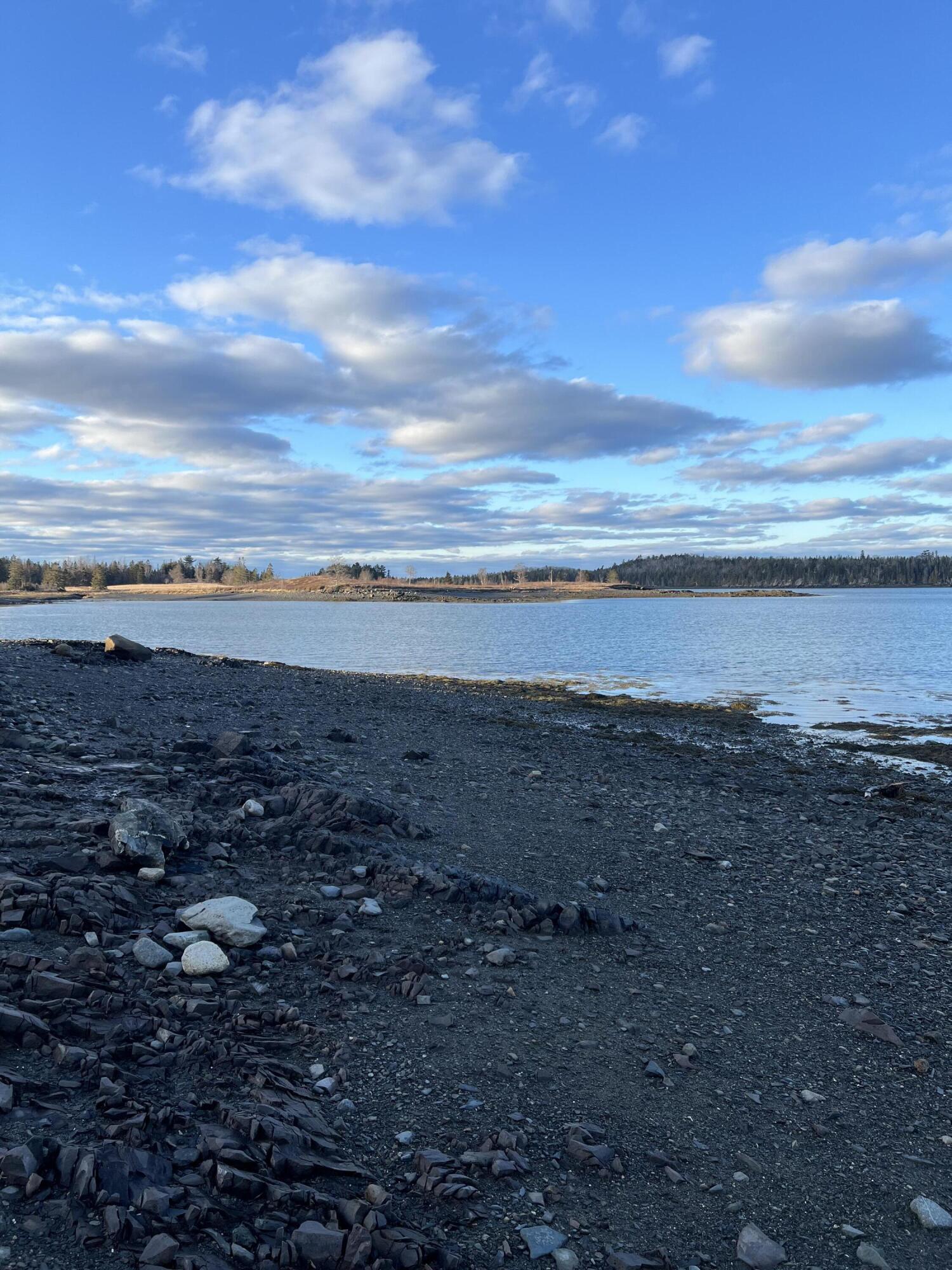 Lot # 35 Leighton Point Road Pembroke ME 04666