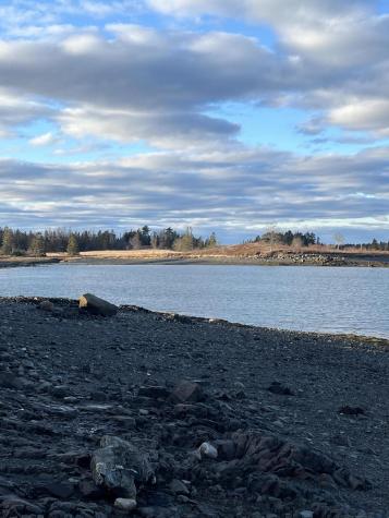 Lot # 35 Leighton Point Road Pembroke ME 04666