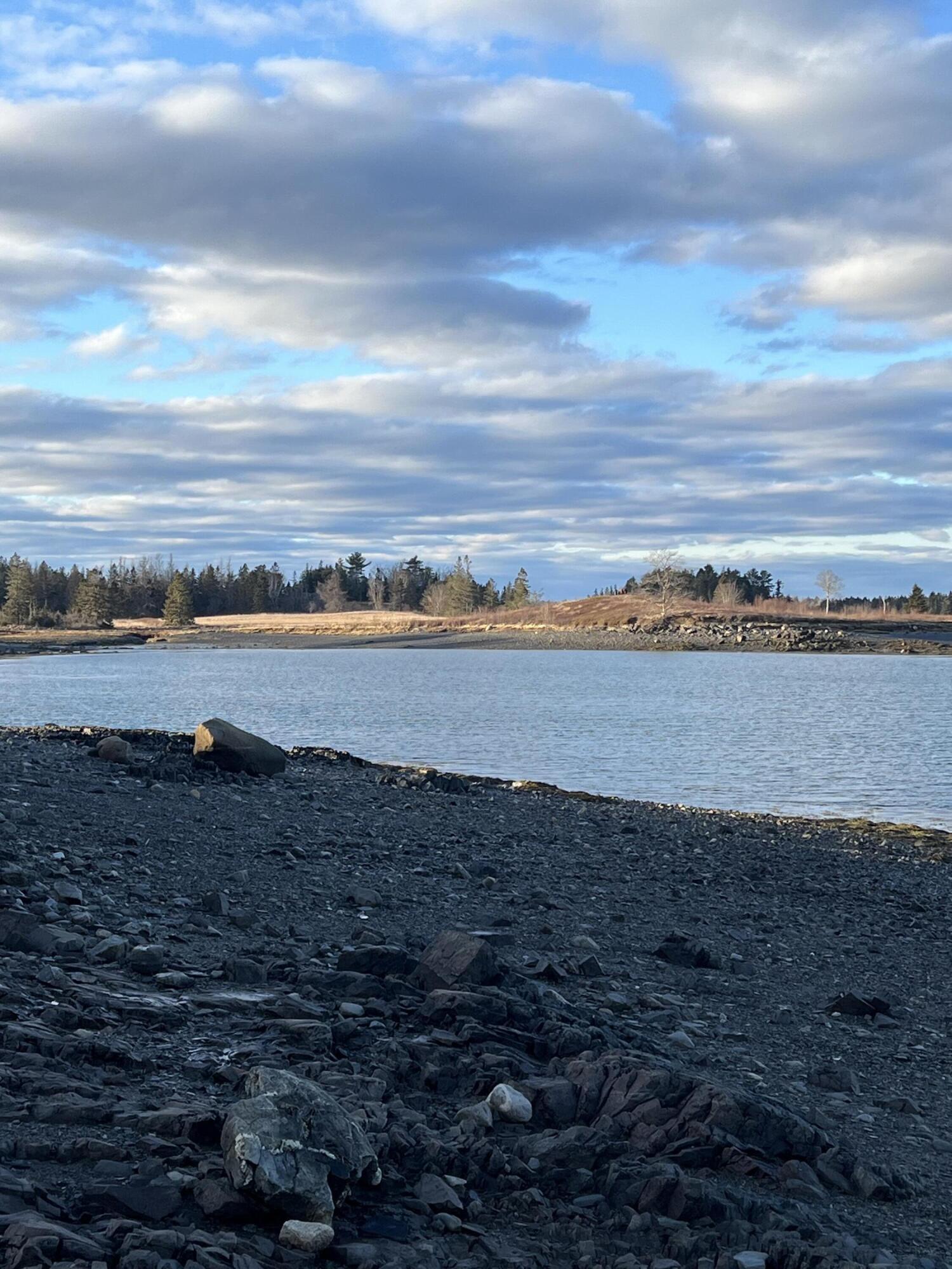 Lot # 35 Leighton Point Road Pembroke ME 04666