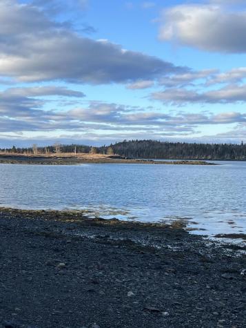 Lot # 35 Leighton Point Road Pembroke ME 04666