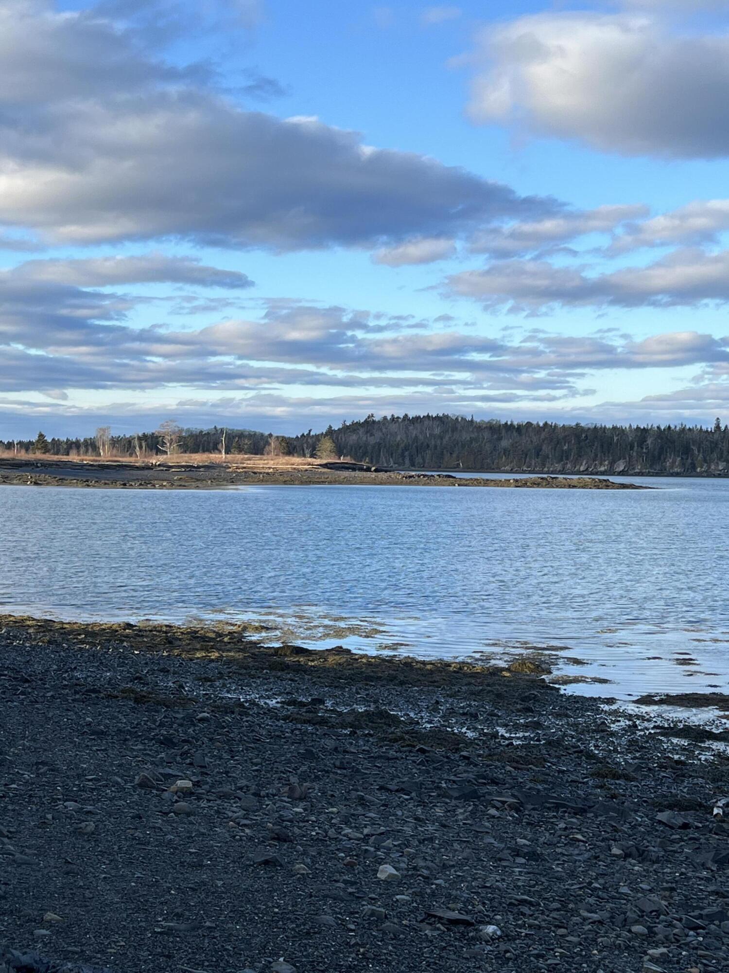 Lot # 35 Leighton Point Road Pembroke ME 04666