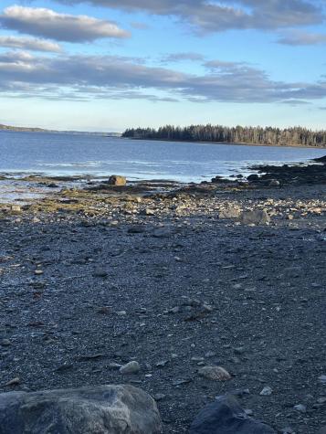 Lot # 35 Leighton Point Road Pembroke ME 04666