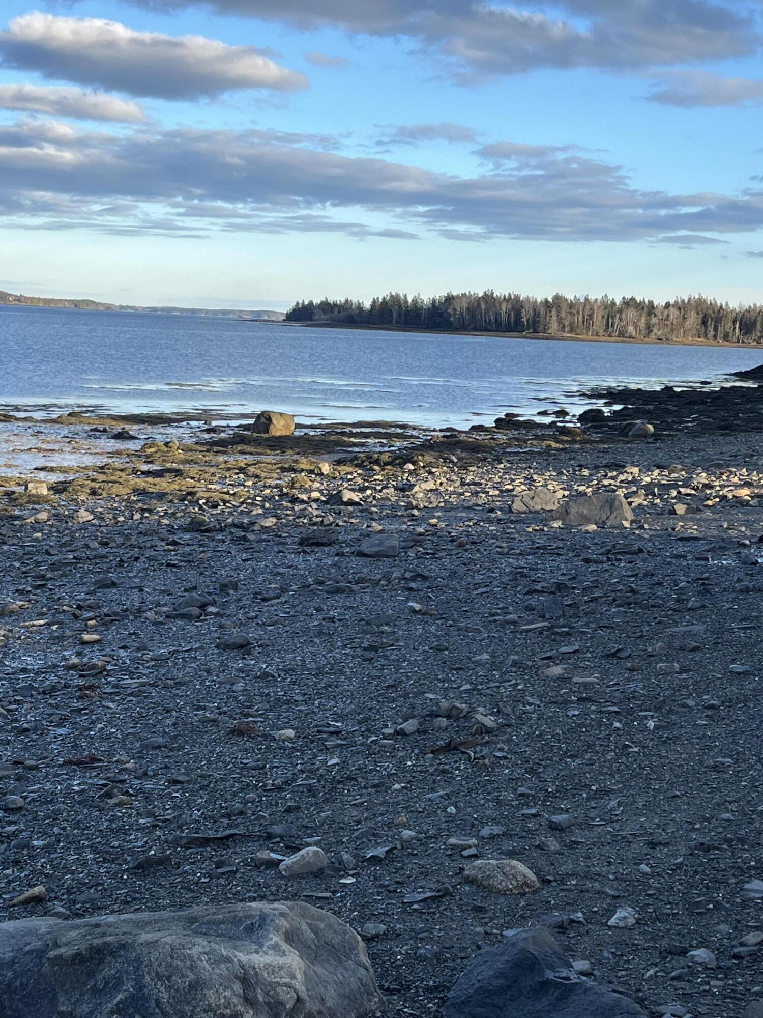 Lot # 35 Leighton Point Road Pembroke ME 04666