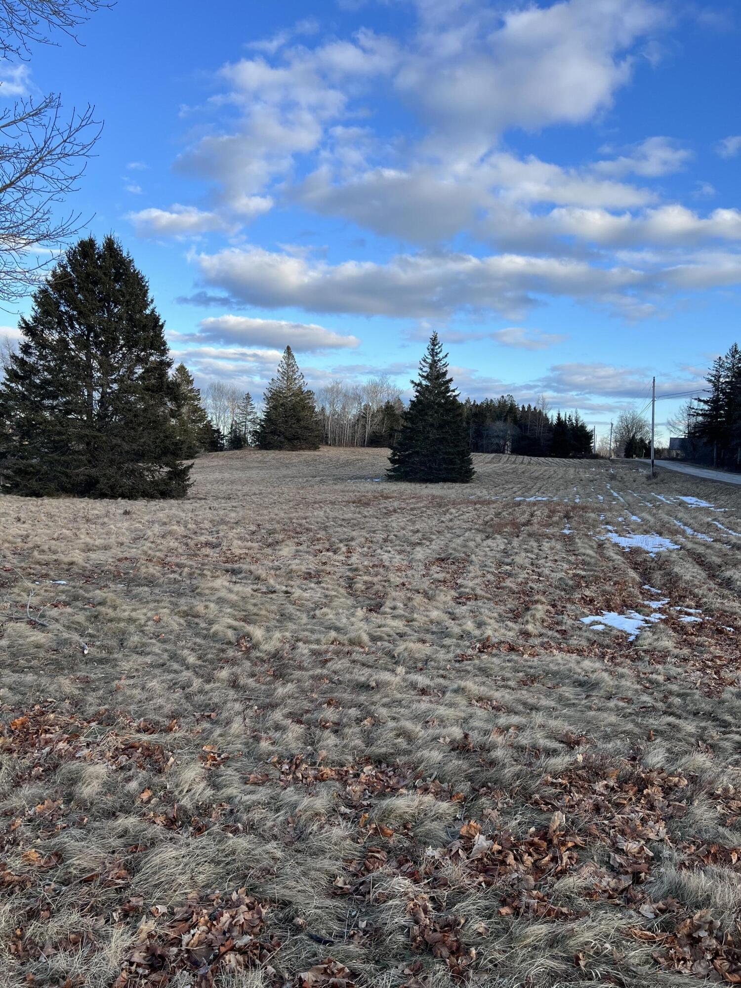 Lot # 35 Leighton Point Road Pembroke ME 04666