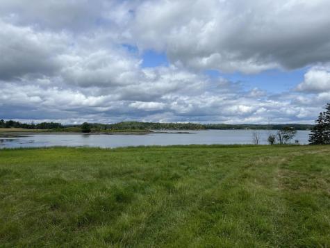 Lot # 35 Leighton Point Road Pembroke ME 04666