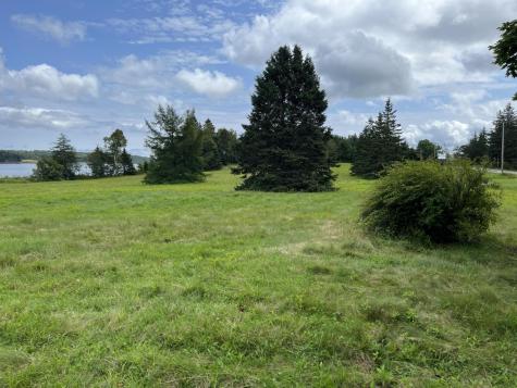 Lot # 35 Leighton Point Road Pembroke ME 04666