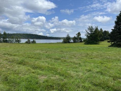 Lot # 35 Leighton Point Road Pembroke ME 04666