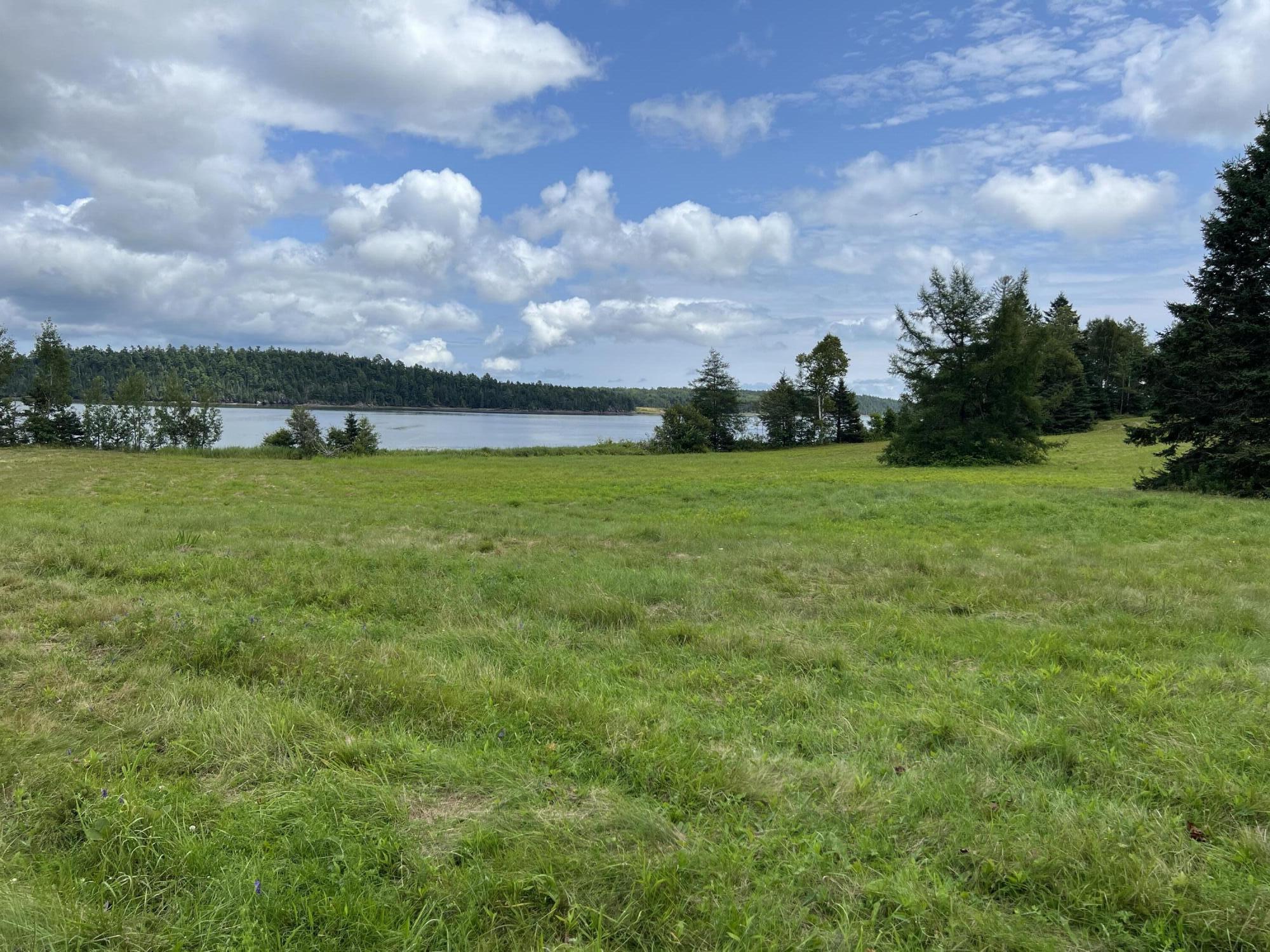 Lot # 35 Leighton Point Road Pembroke ME 04666