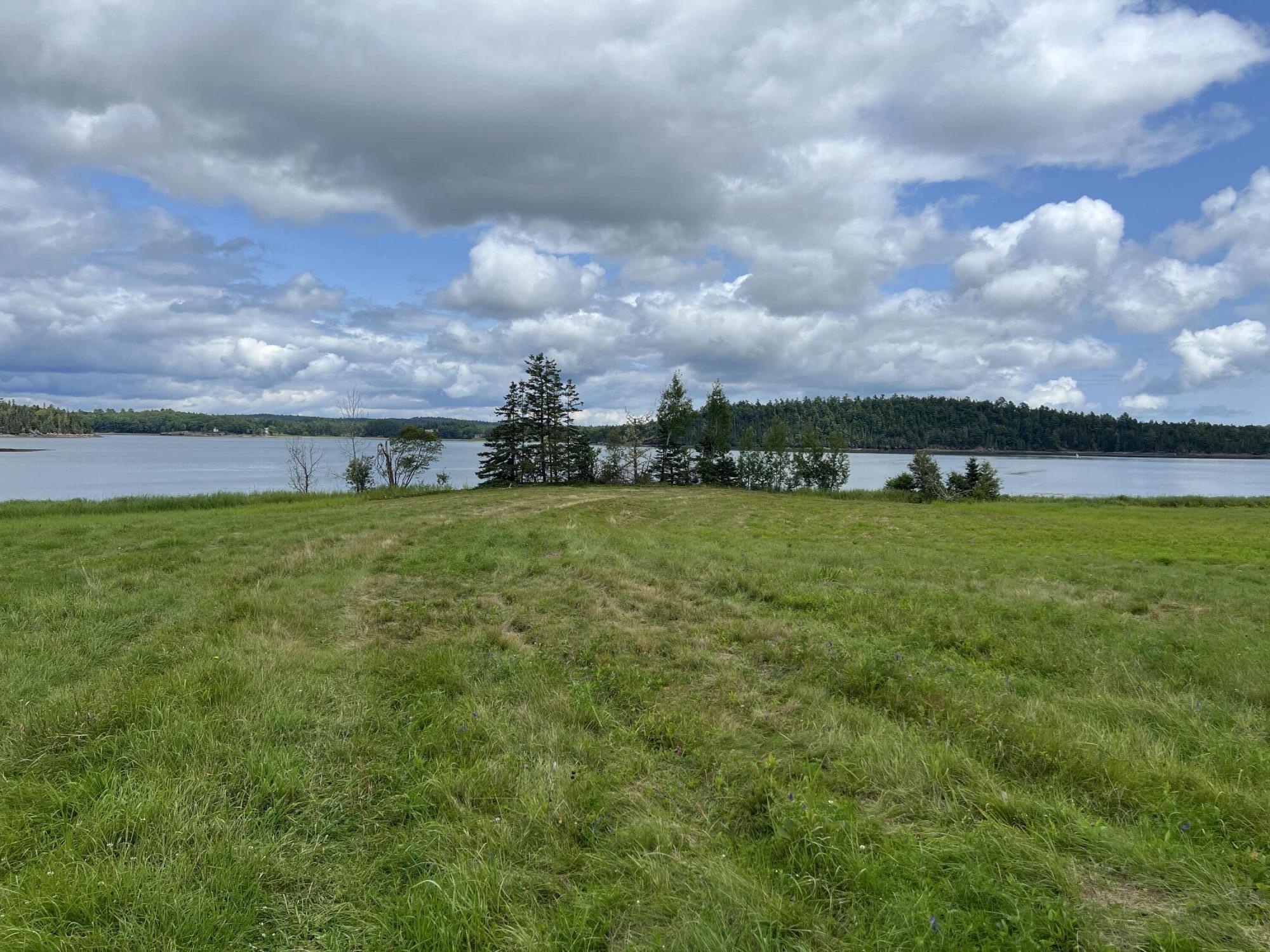 Lot # 35 Leighton Point Road Pembroke ME 04666