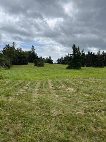 Lot # 35 Leighton Point Road Pembroke ME 04666