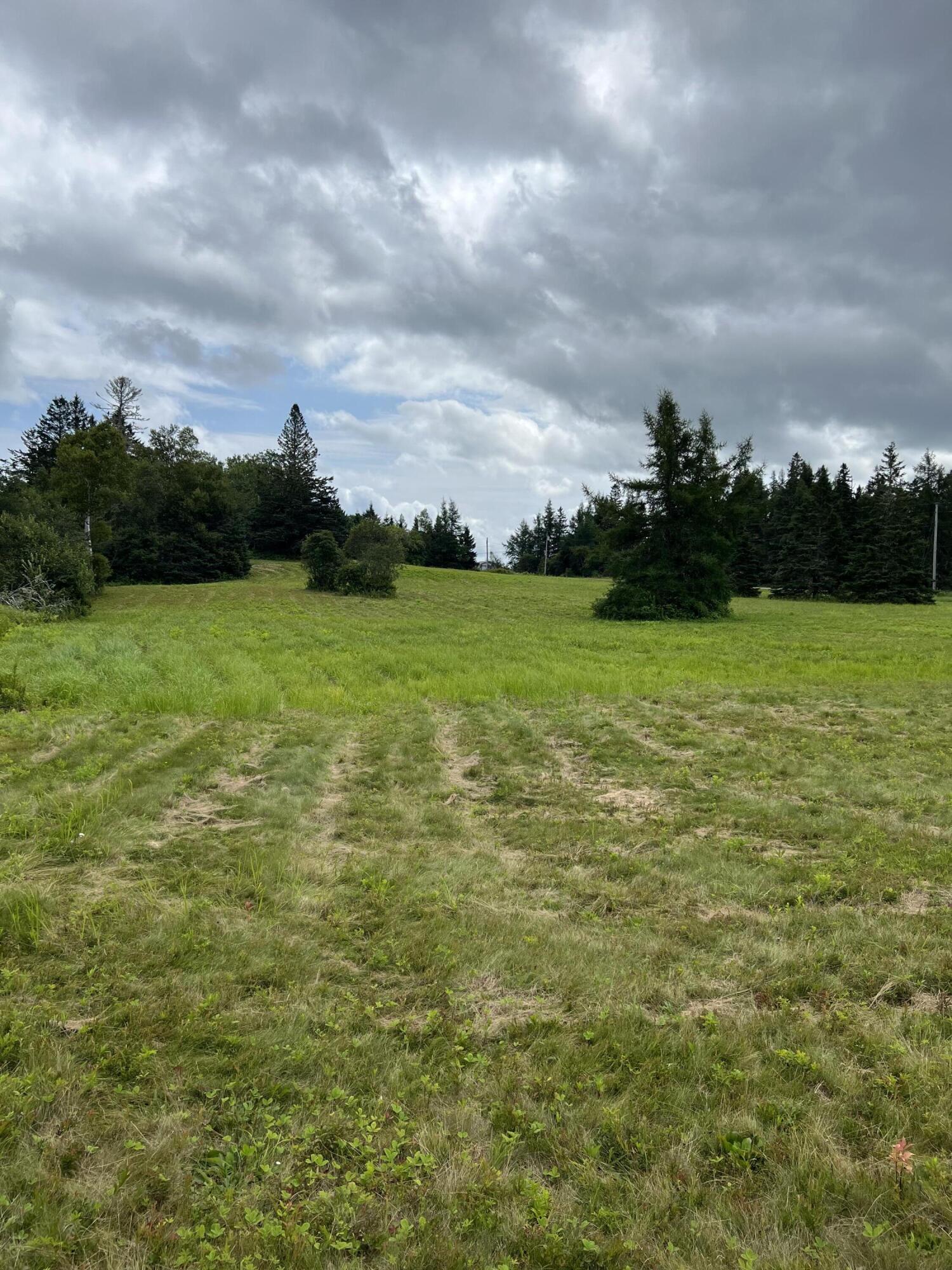 Lot # 35 Leighton Point Road Pembroke ME 04666