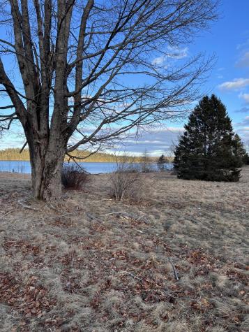 Lot # 35 Leighton Point Road Pembroke ME 04666