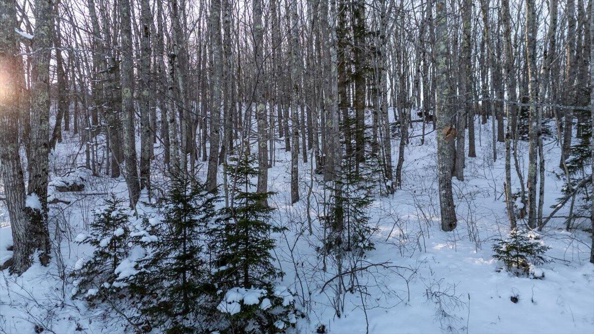 47 Dodge Mountain Road Rockland ME 04841