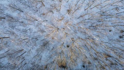 47 Dodge Mountain Road Rockland ME 04841