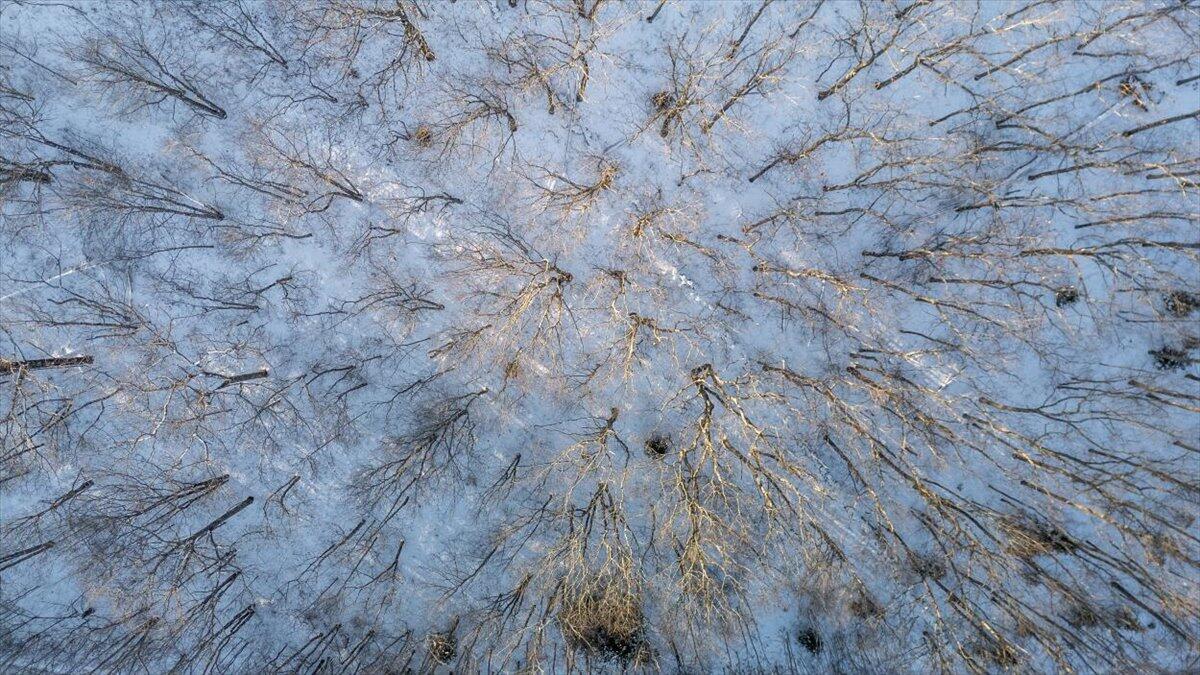 47 Dodge Mountain Road Rockland ME 04841