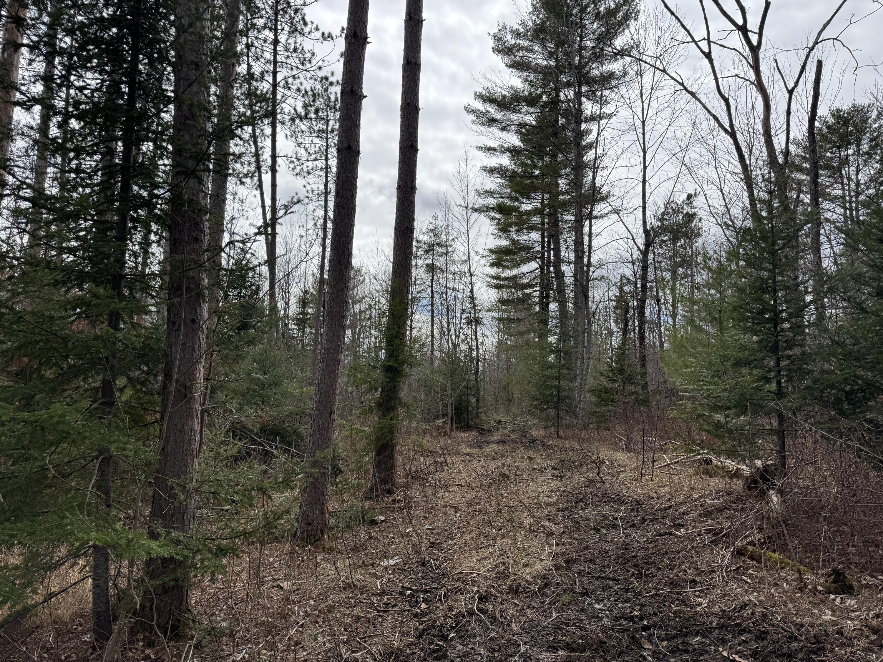 0 Mantor School House Road Parkman ME 04443