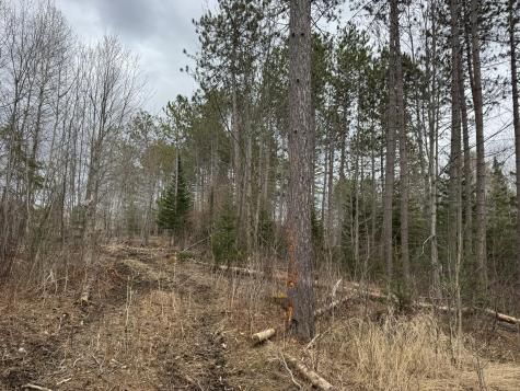 0 Mantor School House Road Parkman ME 04443