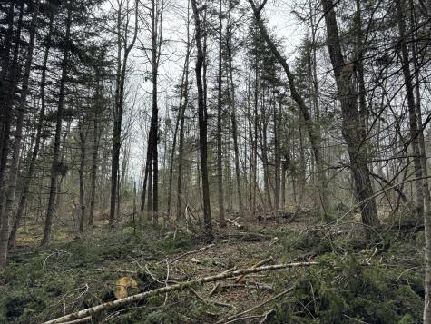 0 Mantor School House Road Parkman ME 04443