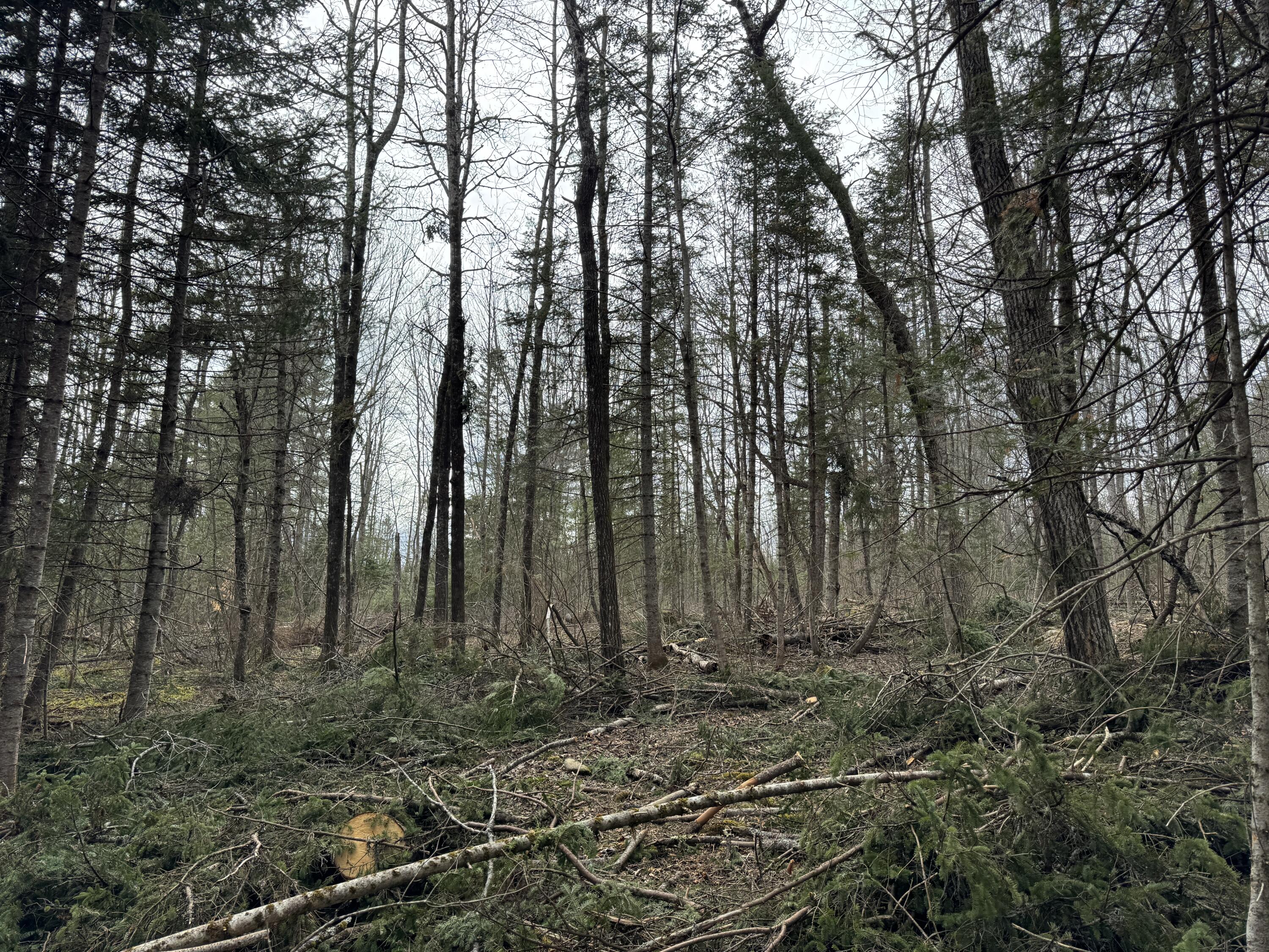 0 Mantor School House Road Parkman ME 04443