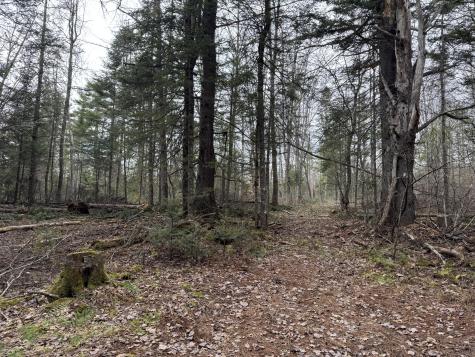 0 Mantor School House Road Parkman ME 04443