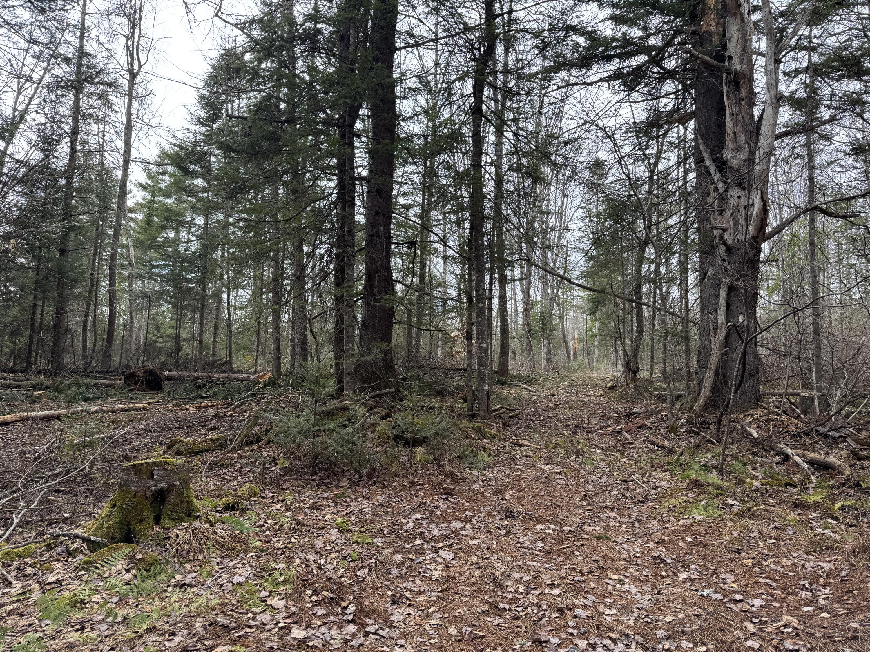 0 Mantor School House Road Parkman ME 04443